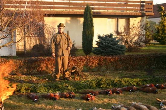 pes přítel člověka