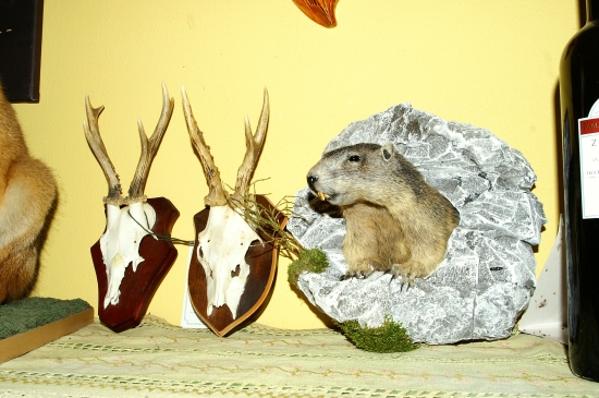 U kamaráda v Rakousku