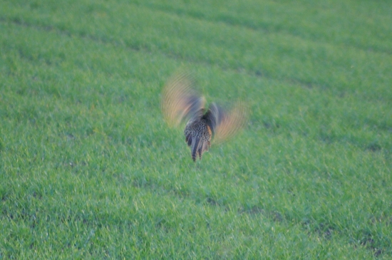 Na poslední chvíli.