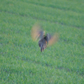 Na poslední chvíli.