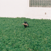 Emír.