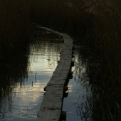 Lávka pro ptáčkaře