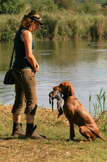 42-Ročník Richarda Knolla