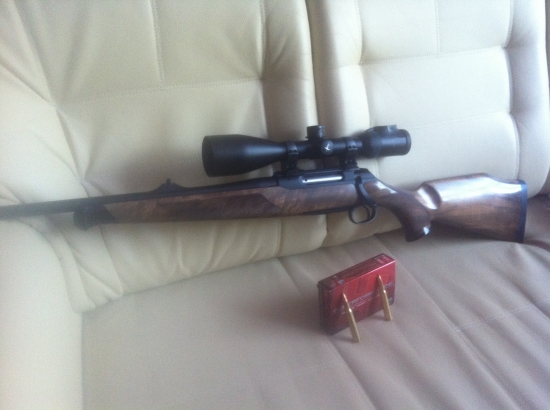 SAUER202LH,3006,SWAROZ6I