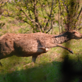 Trošku som ju nastrašil