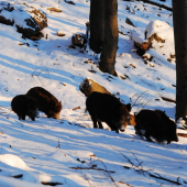 Keď slniečko zapadá