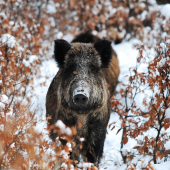 Prišla sa na mňa pozrieť