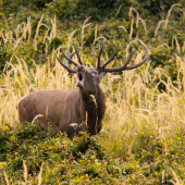 Nezabudnuteľný zážitok
