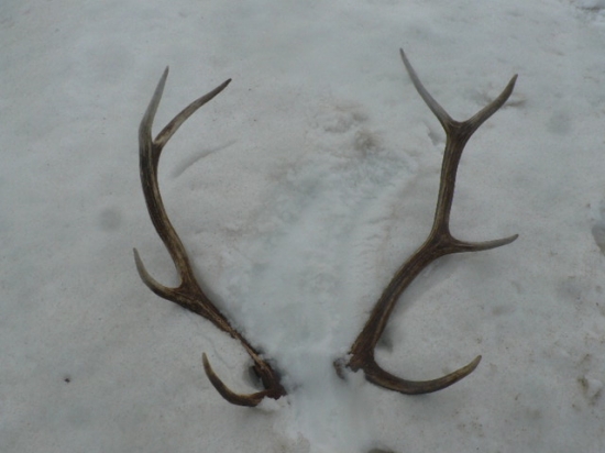 vydarená prechádzka