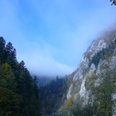 stracanie sa v hmle
