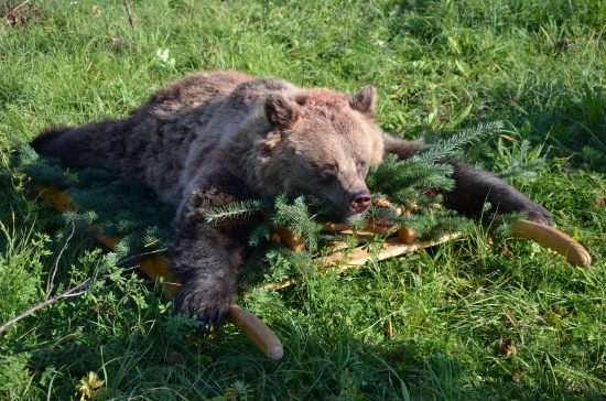 uloveny za 5min 12 :)