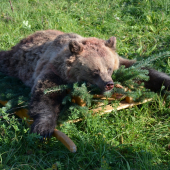 uloveny za 5min 12 :)