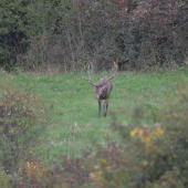 Este musim dotiahnut zaostrovanie