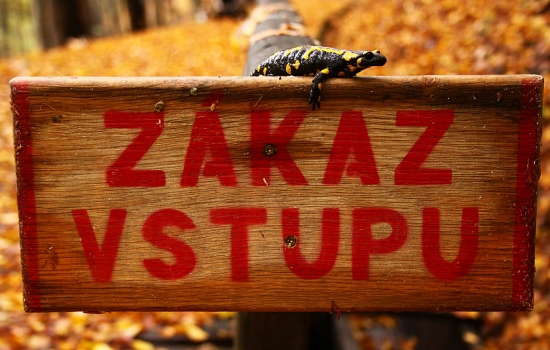 Ďalej nik nesmie!!!