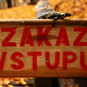 Ďalej nik nesmie!!!