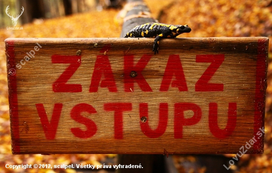 Ďalej nik nesmie!!!
