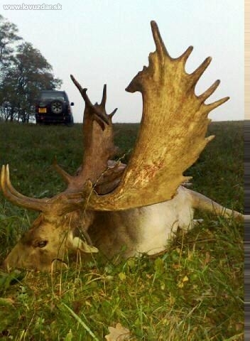 Lovu zdar 2008 / 221,6 CIC