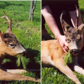 Vzpomínka na rok 2005