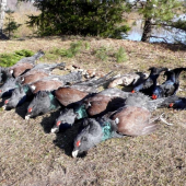 Lovu zdar / RUSKO  2010 /