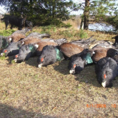 Lovu zdar / RUSKO  2010 /   III