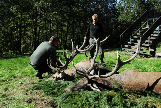 Jeleni Slovensko 2010  / LOVU ZDAR /