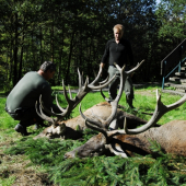 Jeleni Slovensko 2010  / LOVU ZDAR /