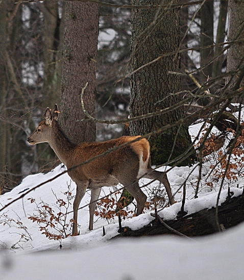 Dnes ráno na prechádzke..