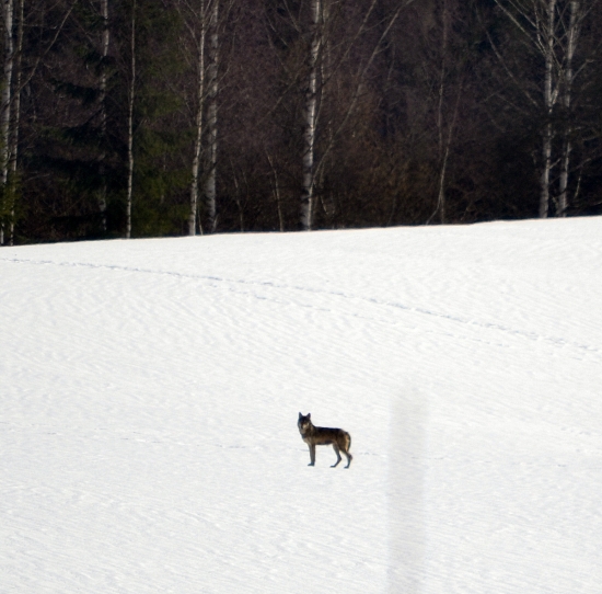 Ešte jedna z nedele..