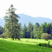 Prechádzková..