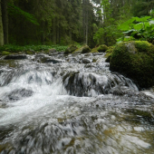 Demänovka..