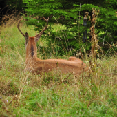 Nie a nie sa otočiť..