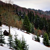 A už je tu zimička..
