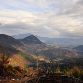 Január 2014