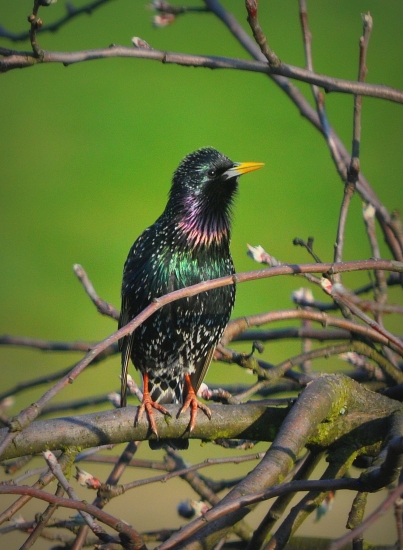 Ten sa teda vyfarbil.. :D