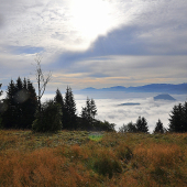 Z rannej prechádzky..