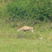 ,,Farbiar,, na stope.. :D