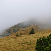 Dnes ráno na Latiborskej..