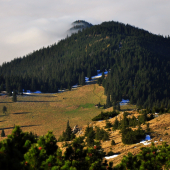 Poľana..