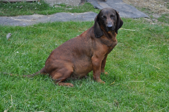 Každú chvíľu.. :D