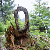 Len tak v prírode..