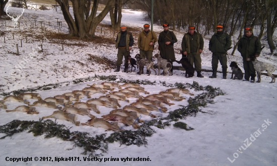 Poľovačka na zajace