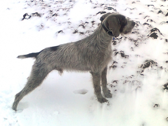 ANDY u Zlatnického potoka - SHS