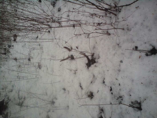 dnes sa podrilo sejkou parnik