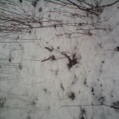 dnes sa podrilo sejkou parnik