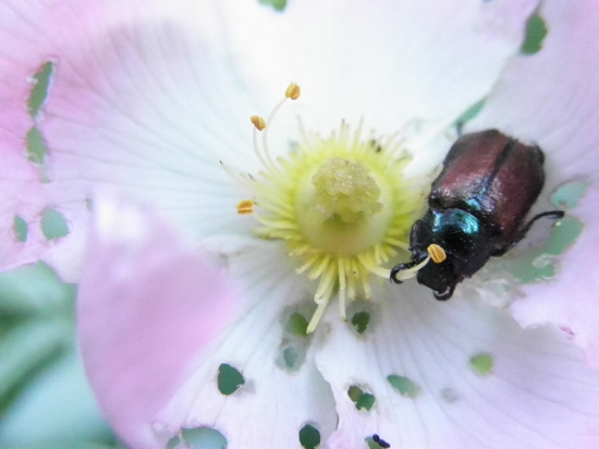 drzal sa abi ho neodfuklo