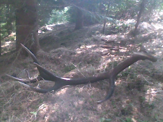 krasasvec z mladinky