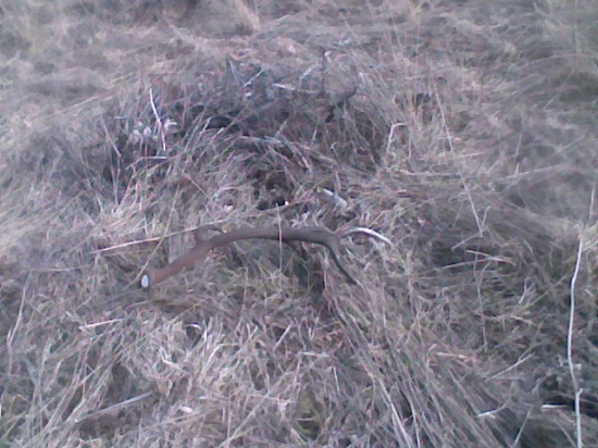 aa parnik po ceste z hrebena