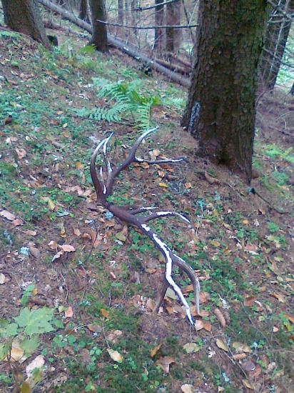 krasny pohlad len kus okusane