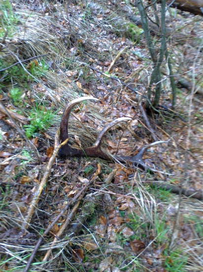 prvy pohlad najlepsi