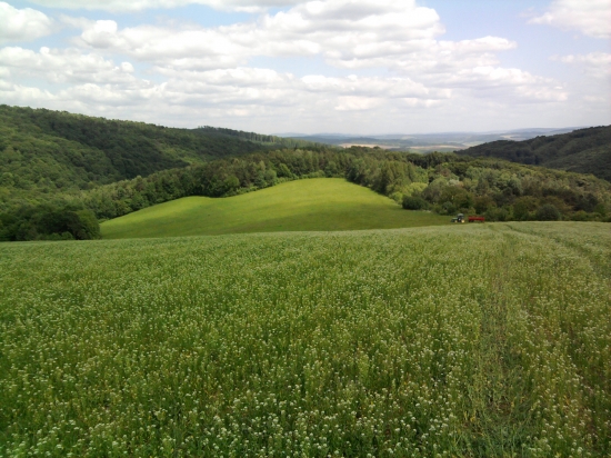 výhľad